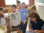 Hauptschule (47)